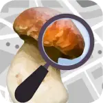 Mushroom Identify - Automatic